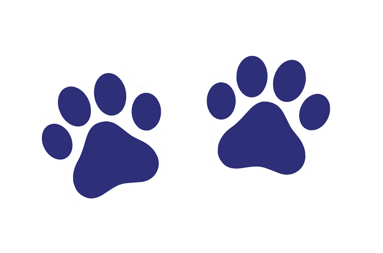 Paw Prints